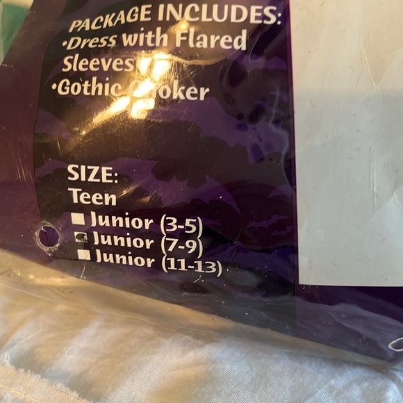 California Costume Black Angel of Darkness - Picture 8 of 9